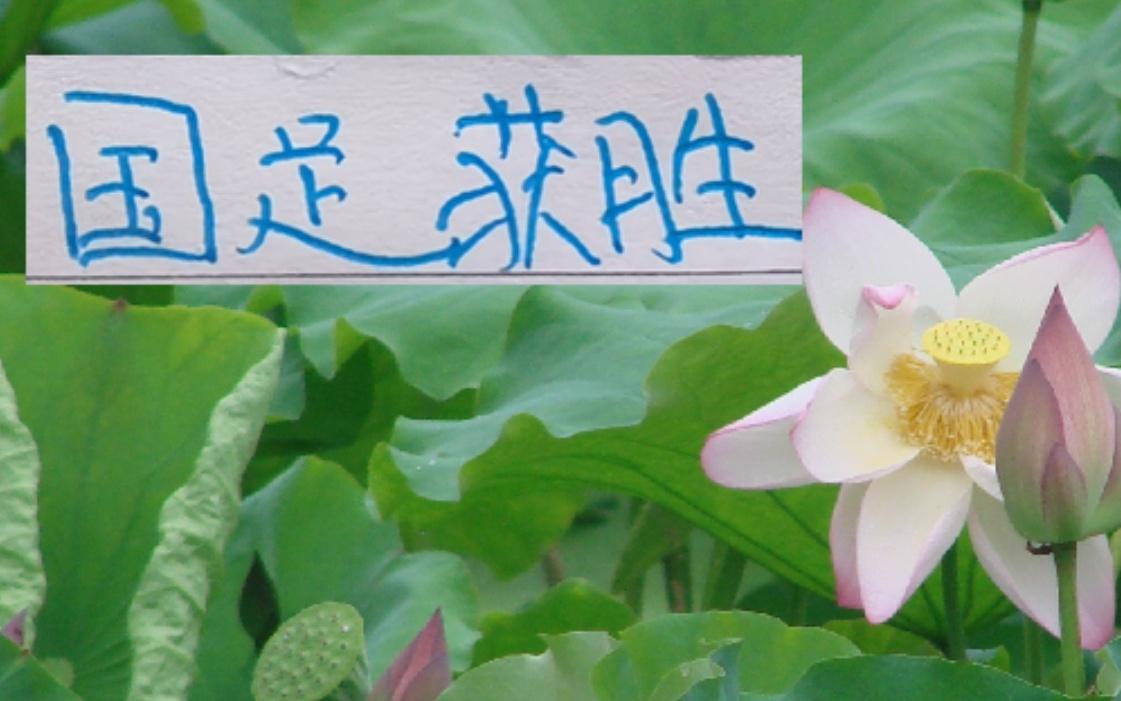 不容易呀国足赢球啦！申花买新外援还在谈判切尔西换帅马上大胜