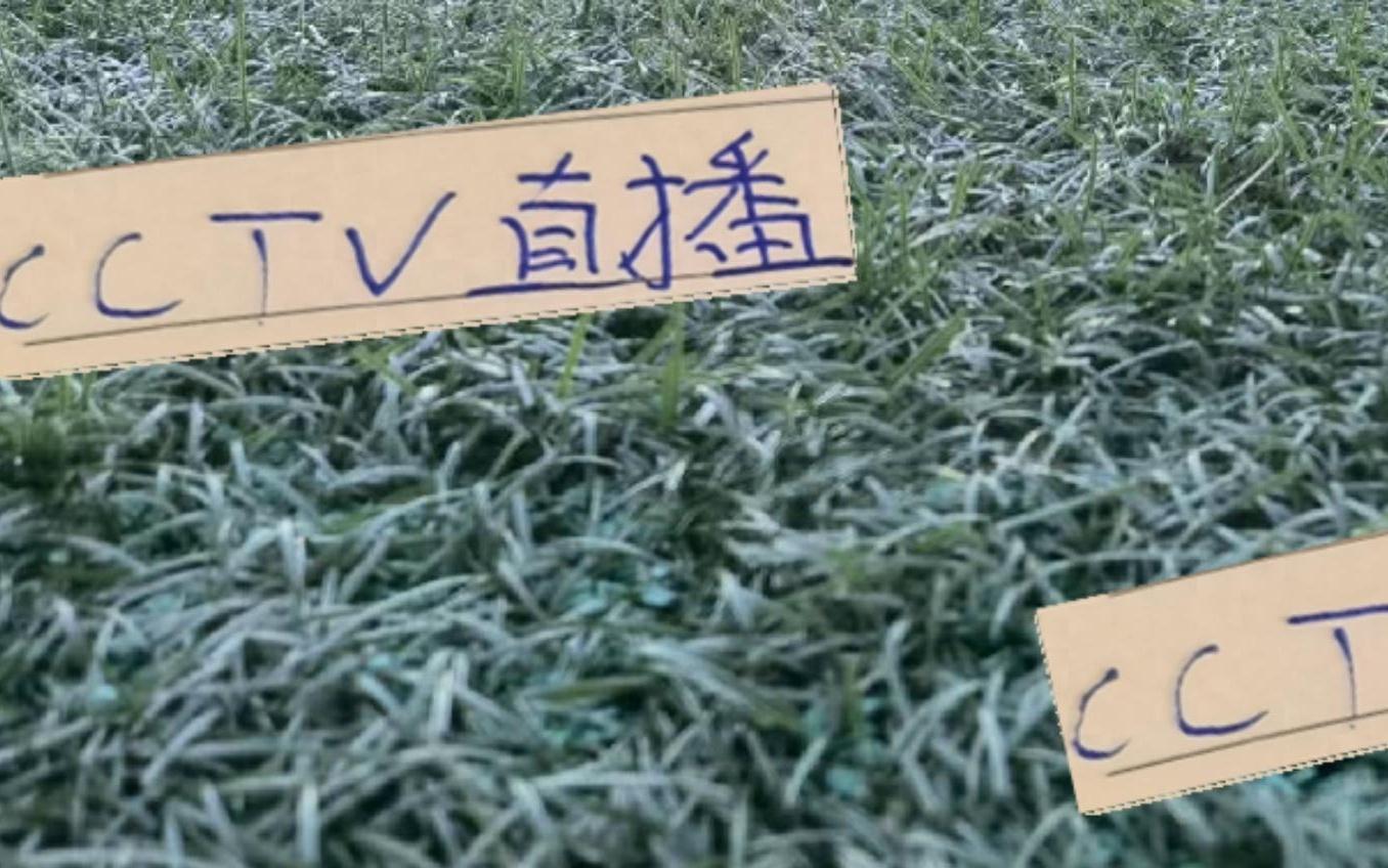 神奇一击！第27轮排名第一海港没得CCTV直播但申花还是有直播的