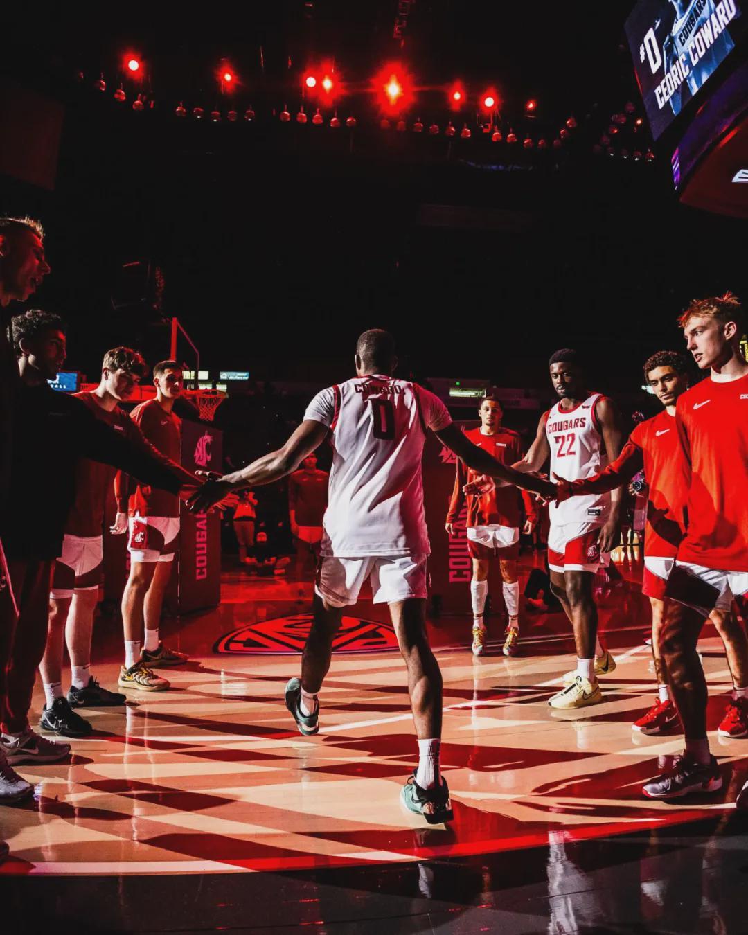 场均19分，三分命中率超70%！杨瀚森的