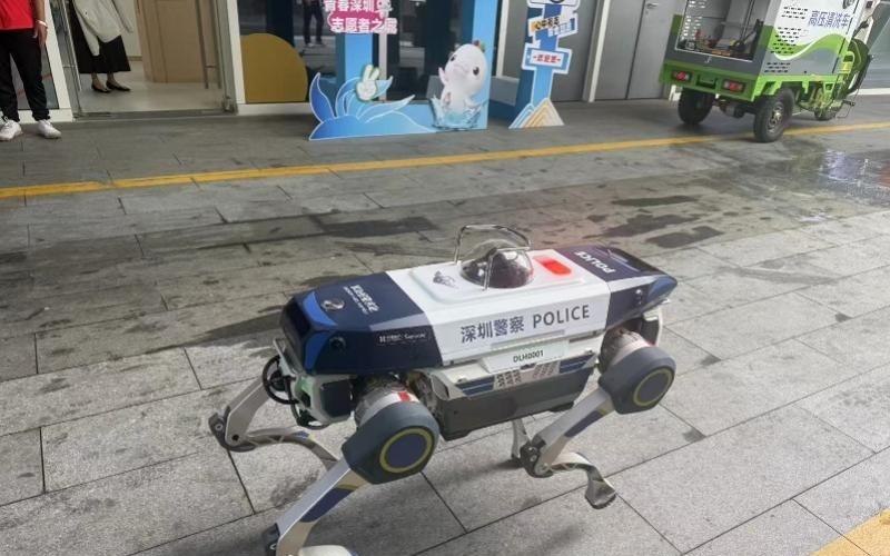 十五运会排球比赛将在深圳启动广东队超过半数队员来自深圳