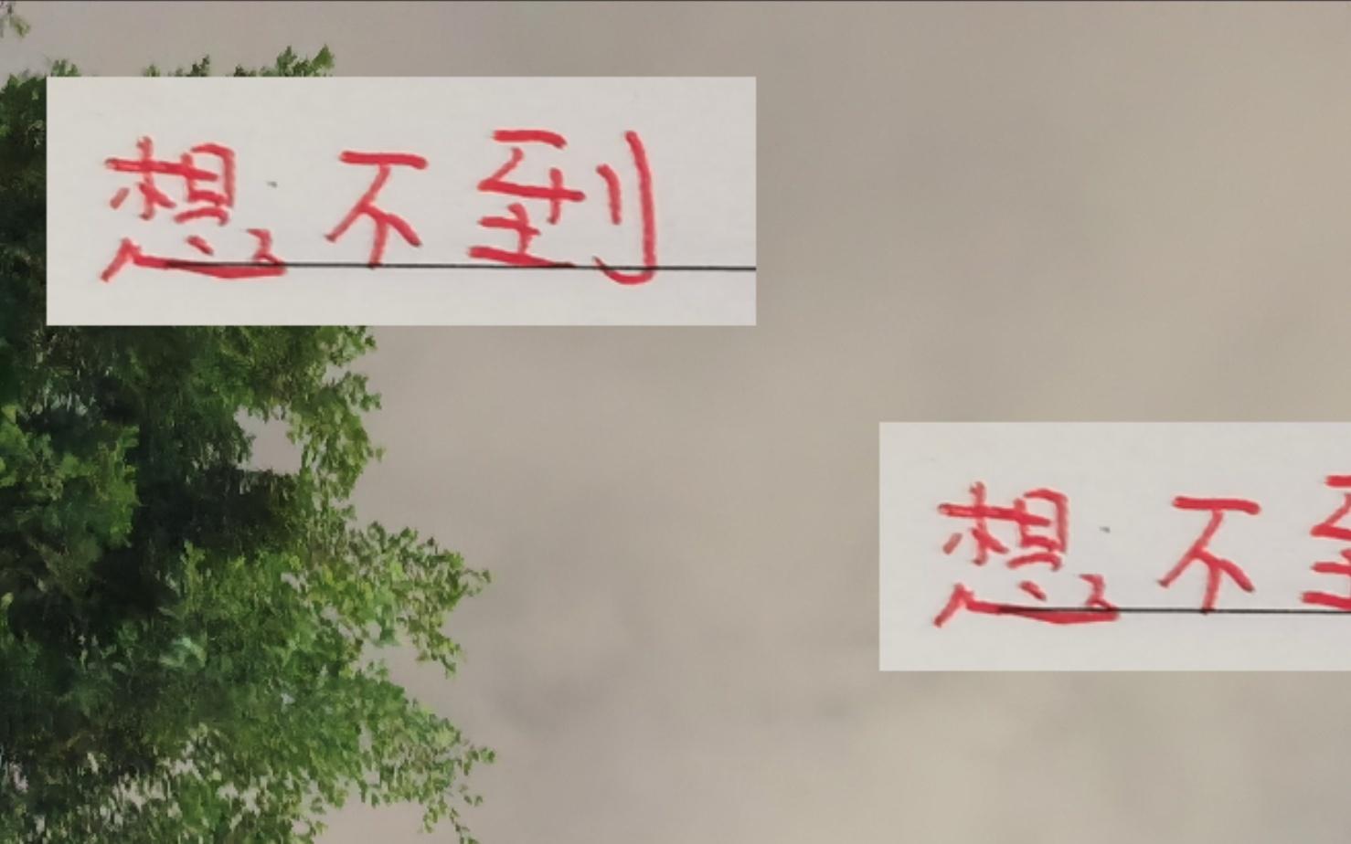 中超第28轮海港跟山东比赛人数是最多的甚至超隔壁邻居