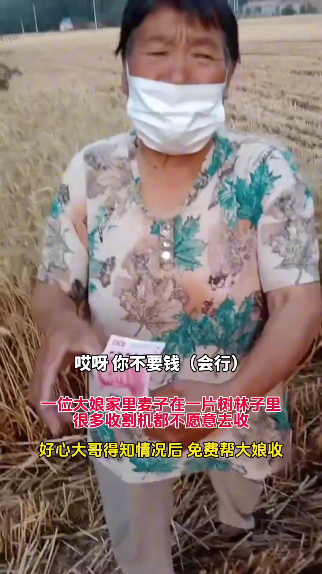 大家都不愿去收树林里的麦子 大哥看到后免费帮大娘收