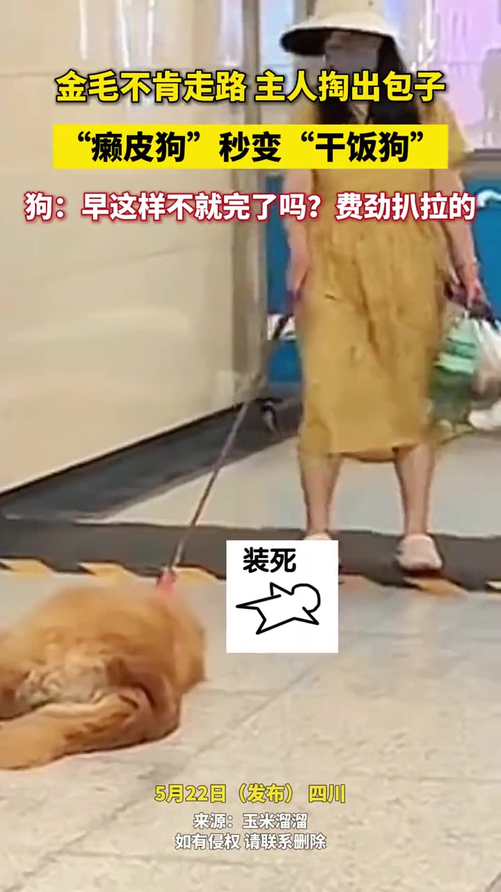 百里消耗一个包子