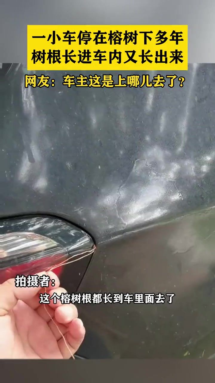 这个车是废咯