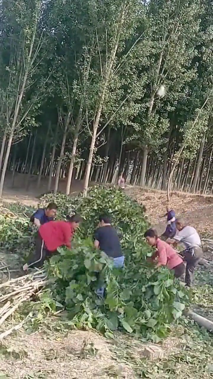 这是干啥去？连安全都不在乎了？