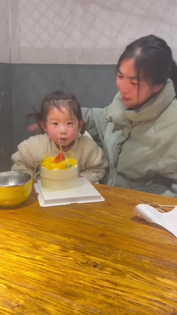 懵逼树上懵逼果，懵逼桌旁你和我