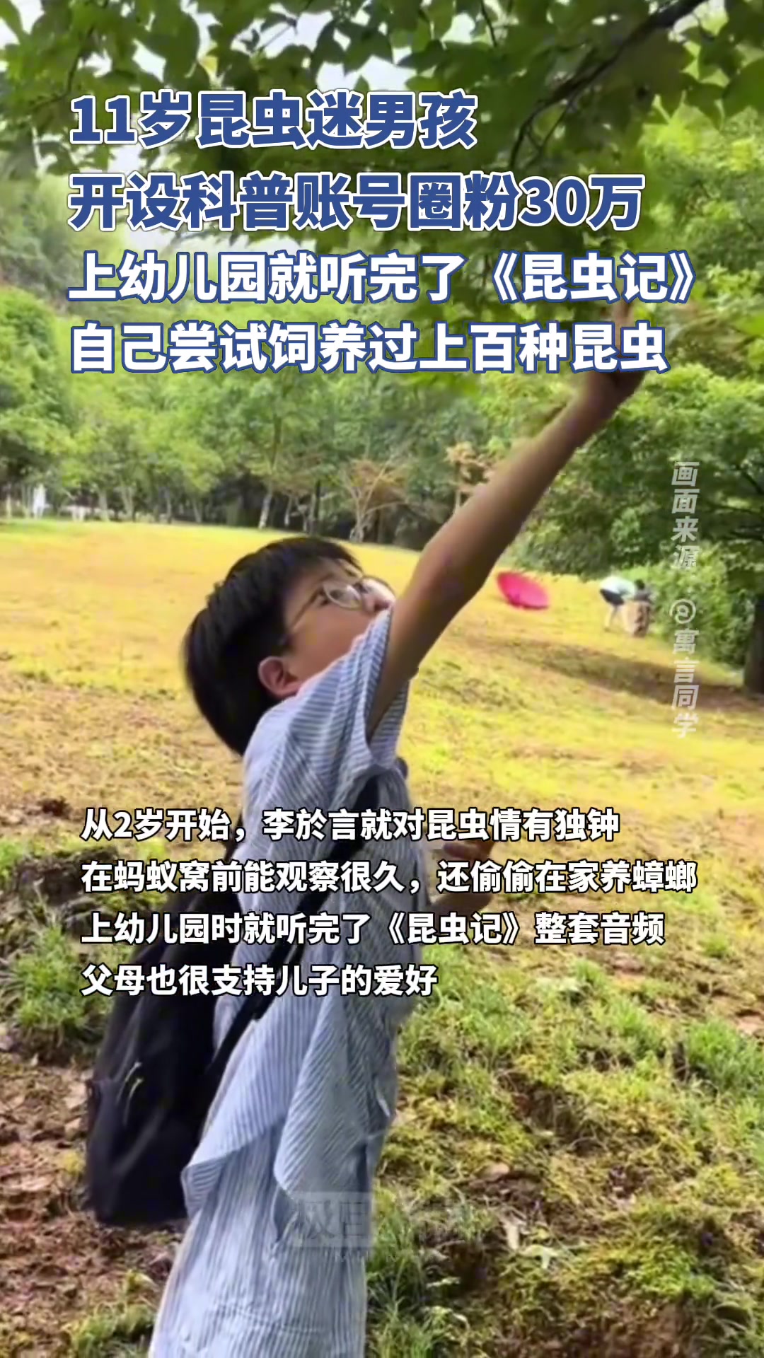 11岁昆虫迷男孩开设账号介绍昆虫相关知识 圈粉30万