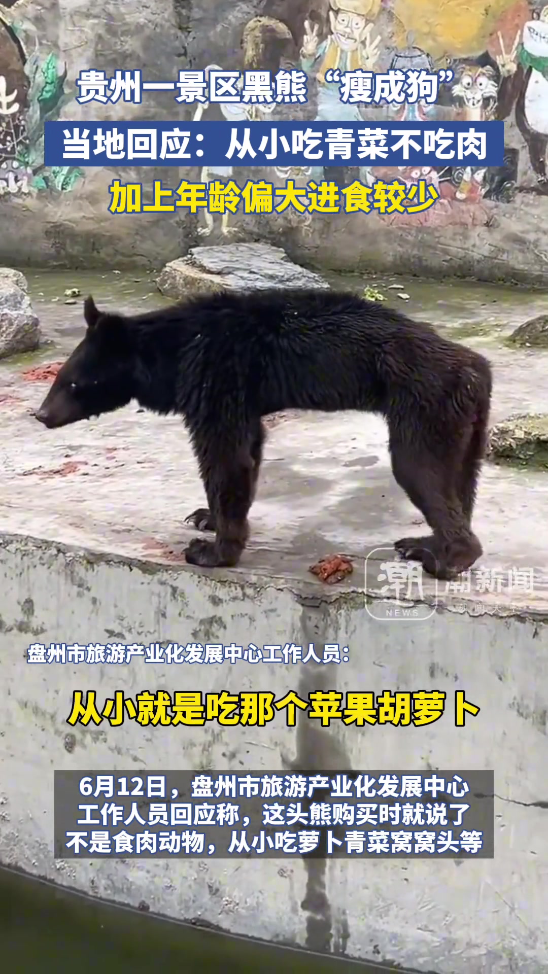 贵州一景区动物园黑熊“瘦成狗”？