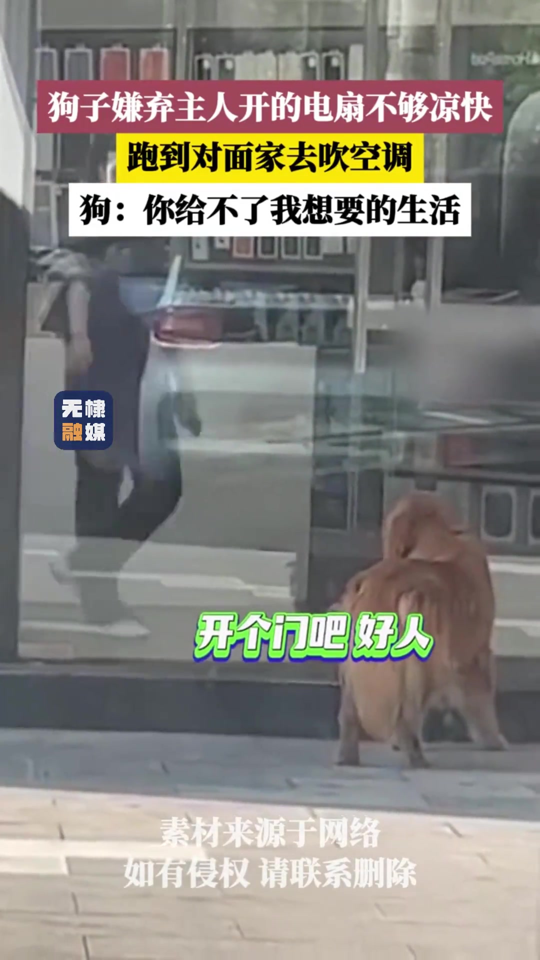 狗子嫌弃主人开的电扇不够凉快，跑到对面家去吹空调