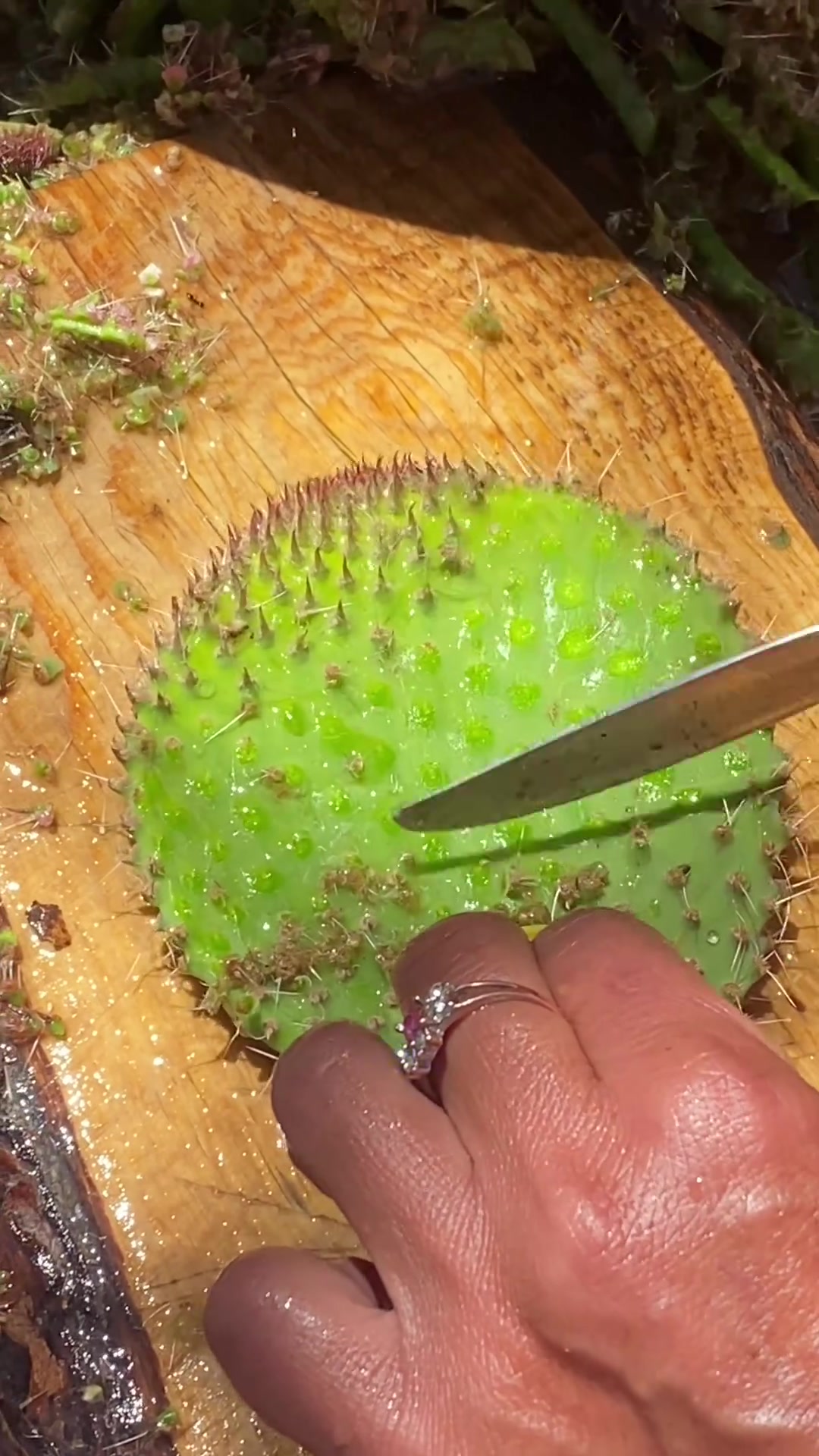 谁敢说这道菜不硬