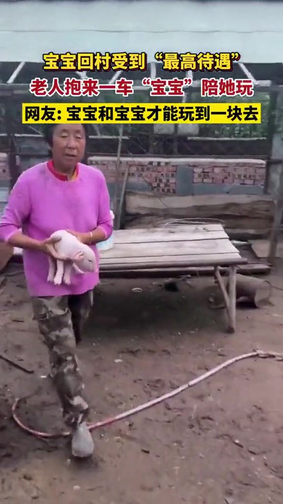 给小宝贝弄了一个“小动物园”