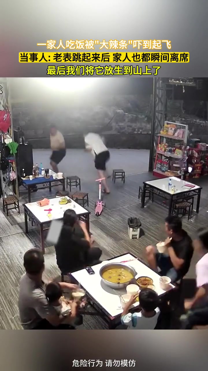 吃饭秒变吃席？一家人突然被桌底大蛇吓到起飞！