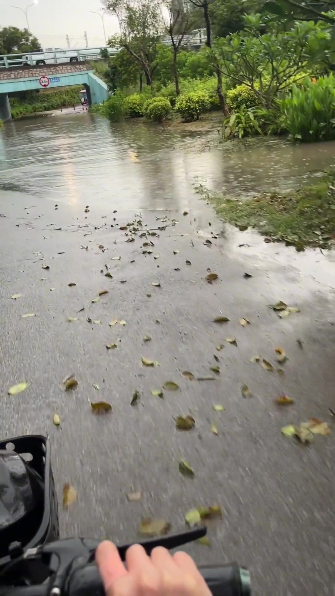小姐姐胆子真大！这么深的积水竟然还真给她们过去了