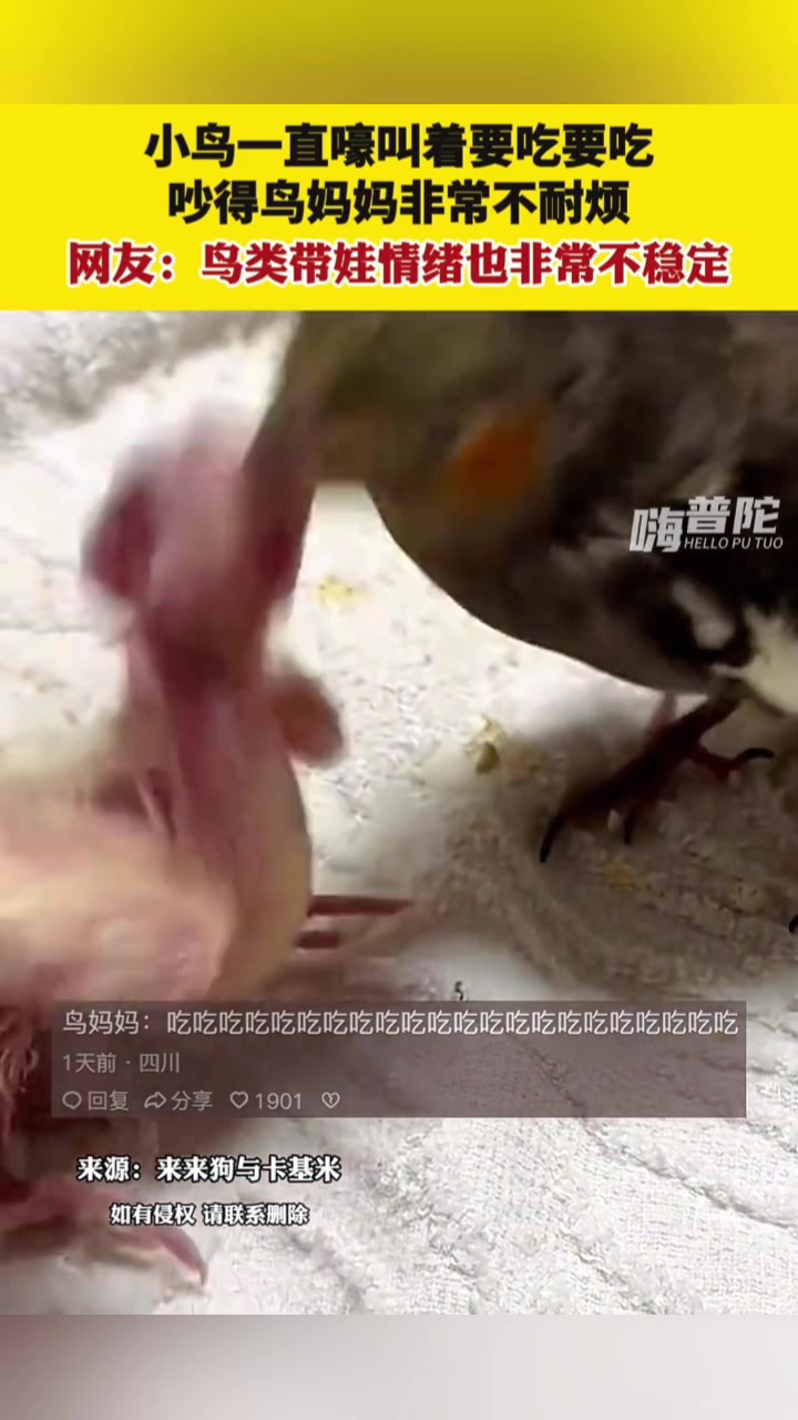 脑浆都被妈妈摇匀了！暴风吸入！