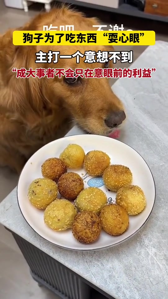他是懂投之以桃,报之以李的！将欲取之，必先与之！