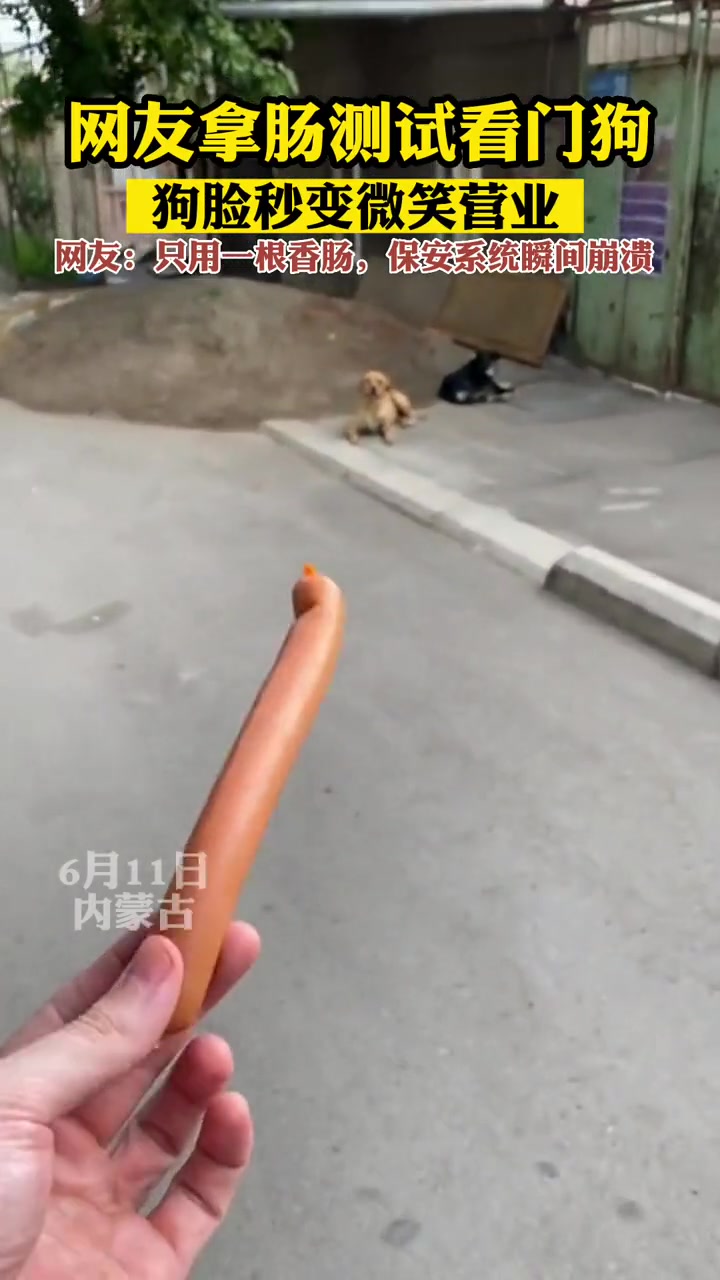 考验干部？记住下不为例啊！