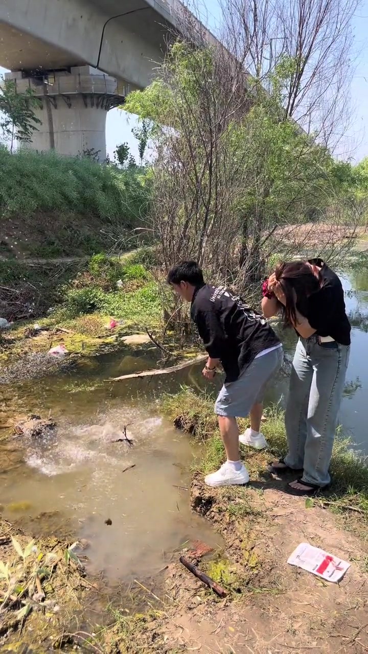 鱼：上岸先斩意中人