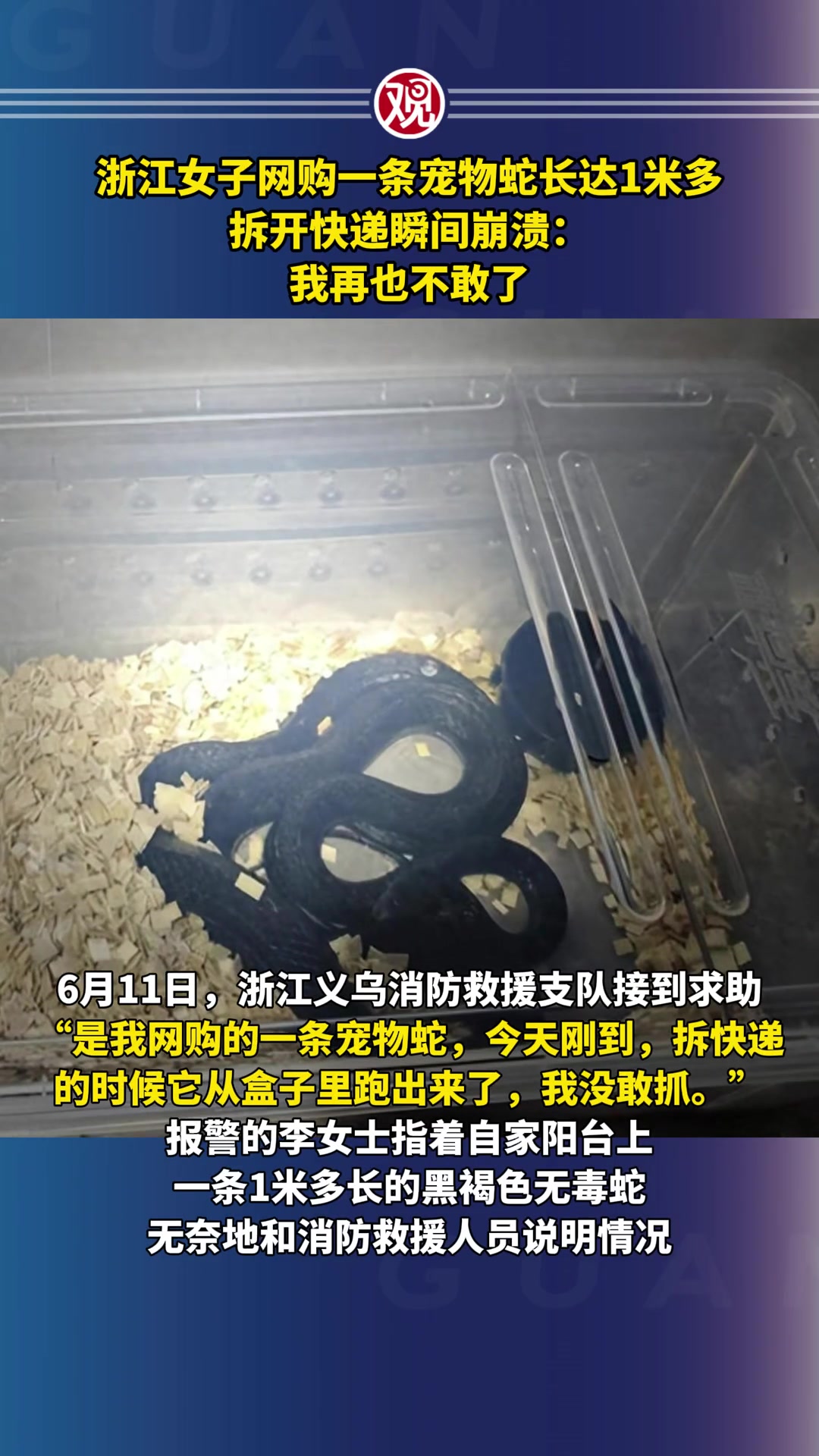 买前好奇，买后哭泣！这要是弃养放生还得了！叶公好龙