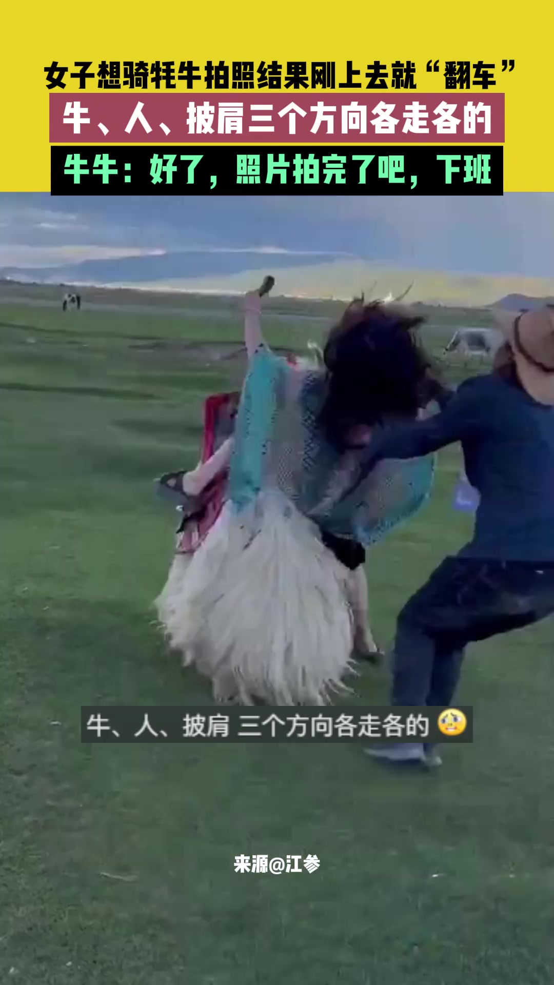 女子想骑牦牛拍照结果刚上去就“翻车”