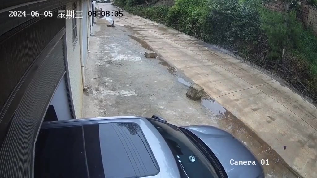 亏大了！多等1秒都不至于被撞