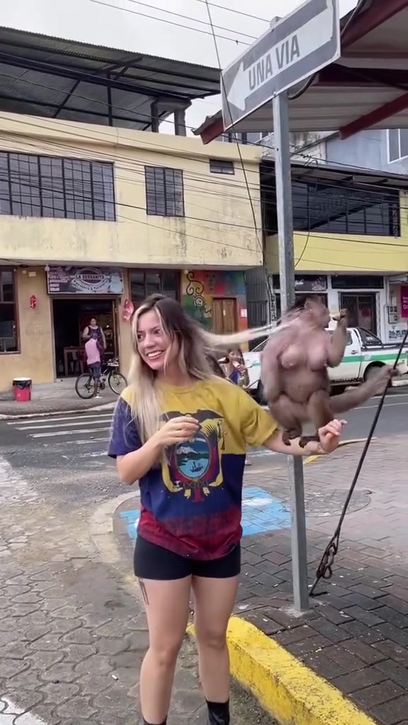 国外街头猴子和美女互动！