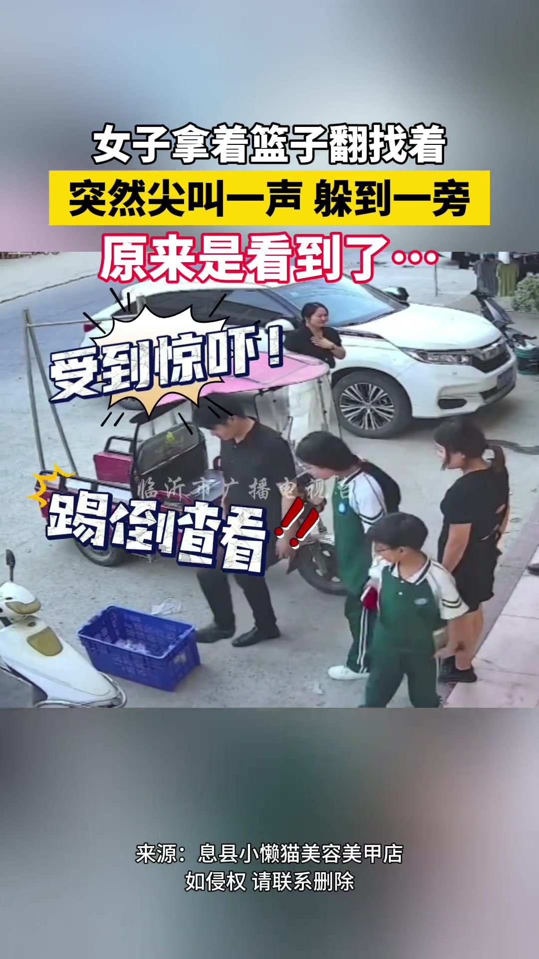 为啥？女子拿着篮子翻找着 突然尖叫一声躲到一旁