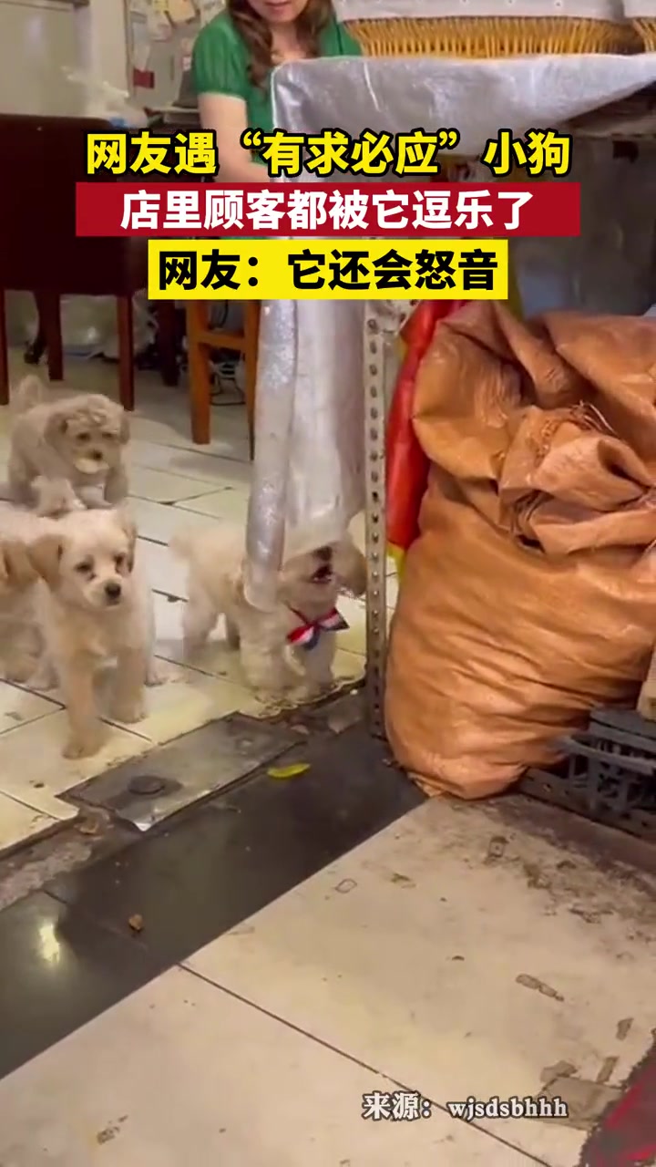 掌握外语很重要！