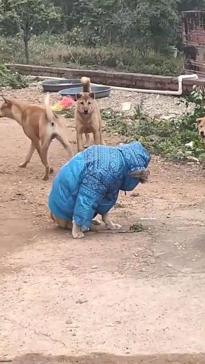 在狗友面前根本抬不起头
