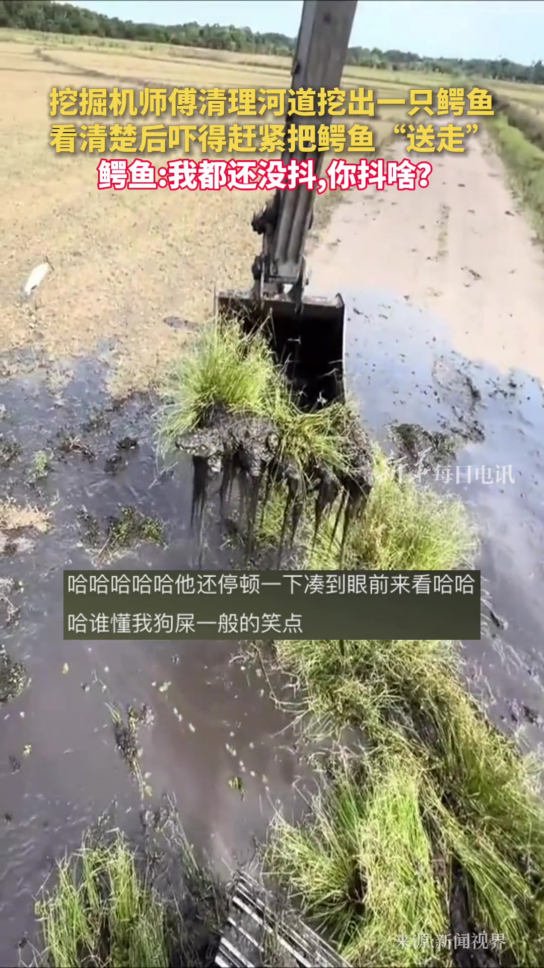 第一次在挖掘机上看到了疑惑