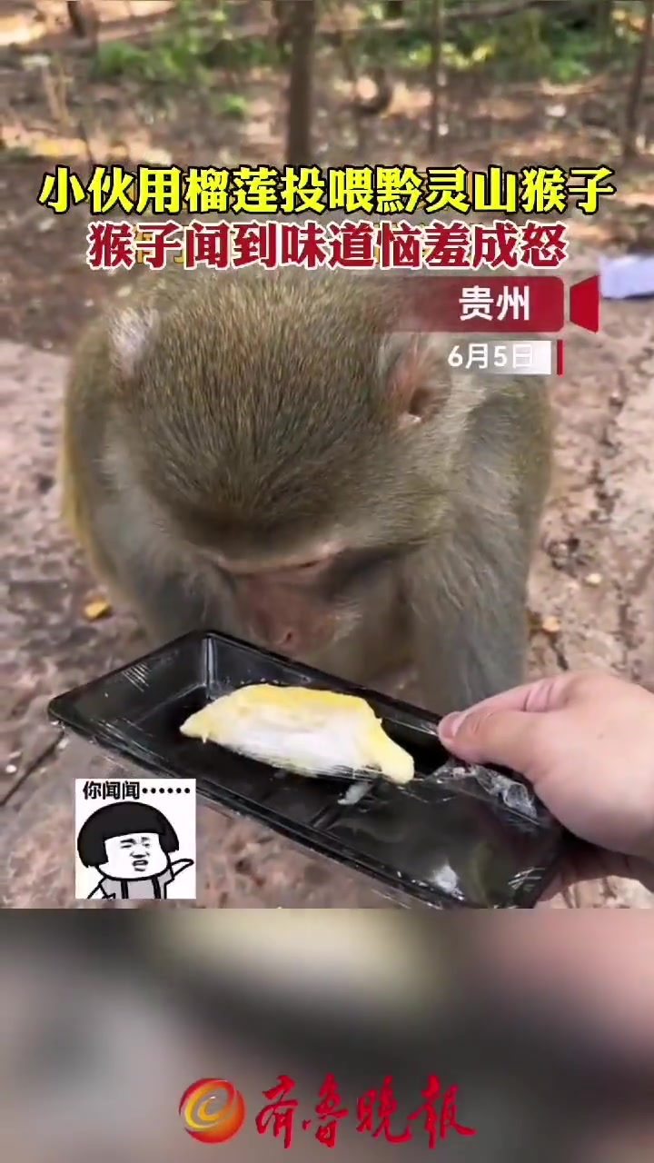 你个家伙，往我嘴里塞什么呢！