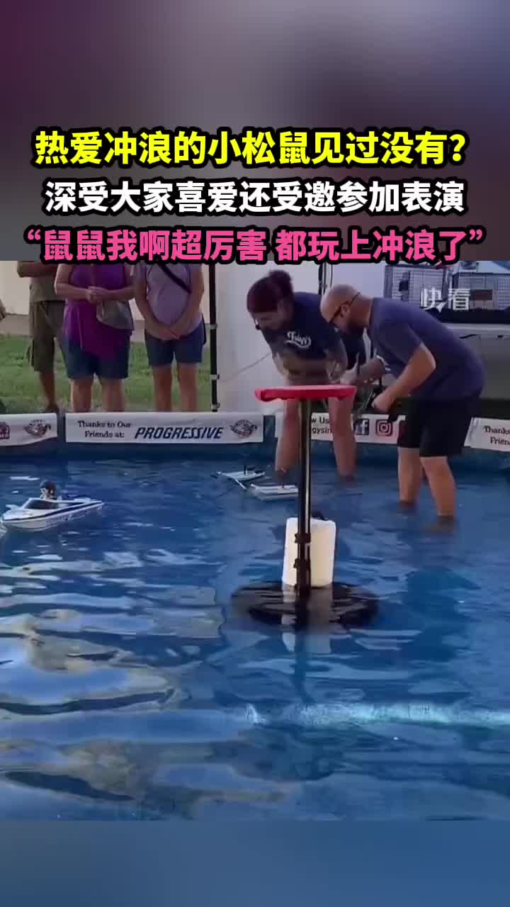 热爱冲浪的小松鼠见过吗？