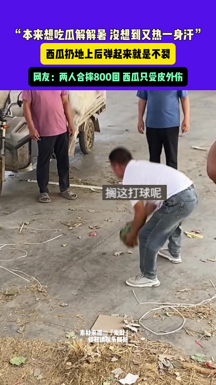 两人合摔800回 西瓜只受皮外伤