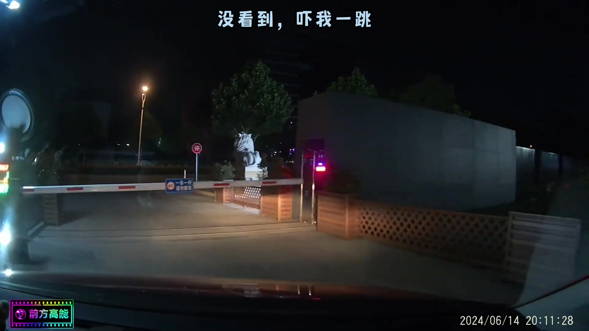 女司机怎么开车的！没看到和没看完全是两个概念！