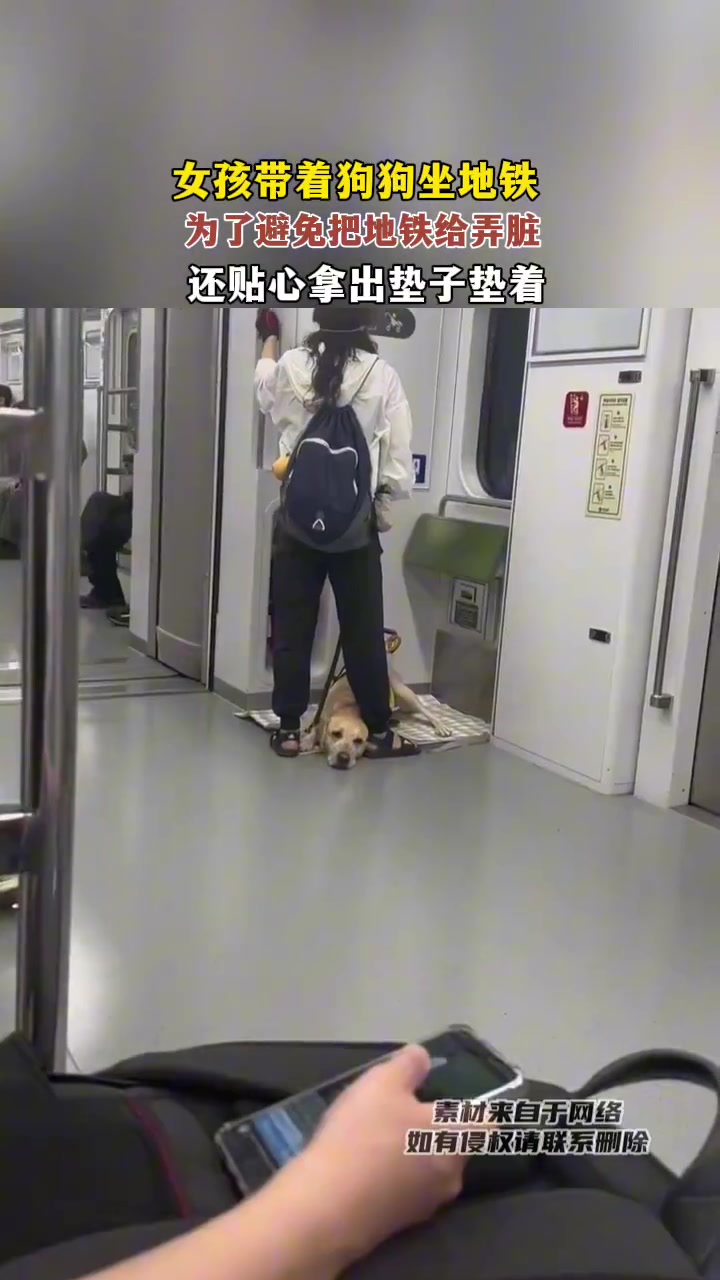 女孩带着狗狗坐地铁，还贴心拿出垫子垫着！