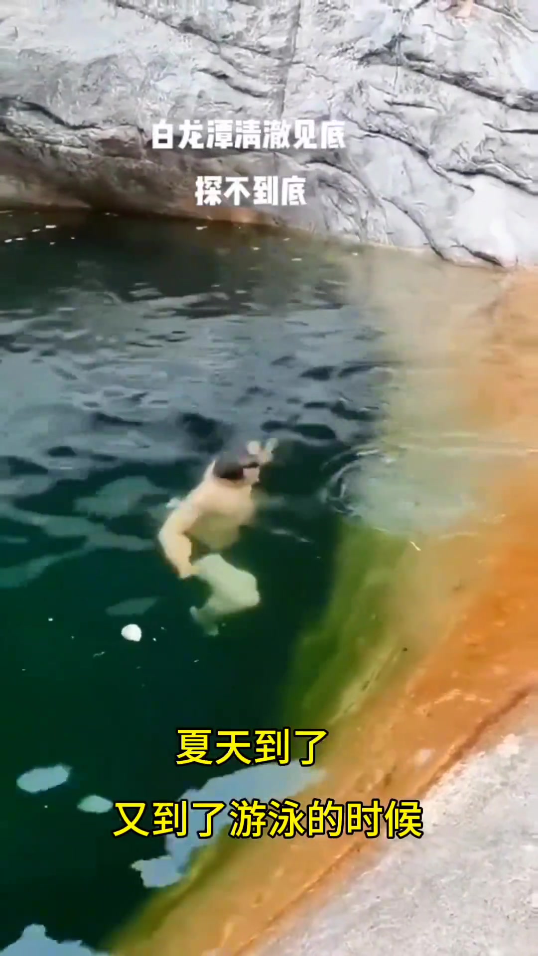 最怕这种绿的发黑的深潭，感觉有东西冲上来给他拖下去