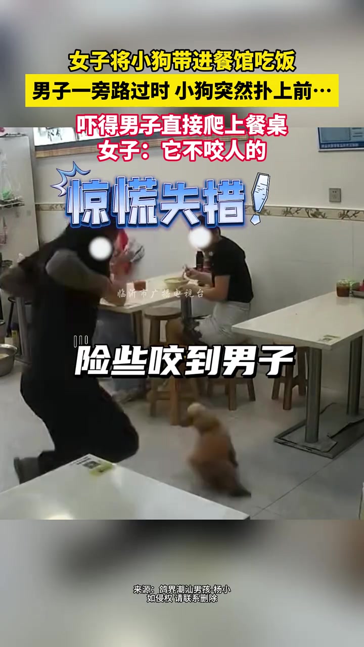 养狗不栓狗还带进餐厅？真是没素质！