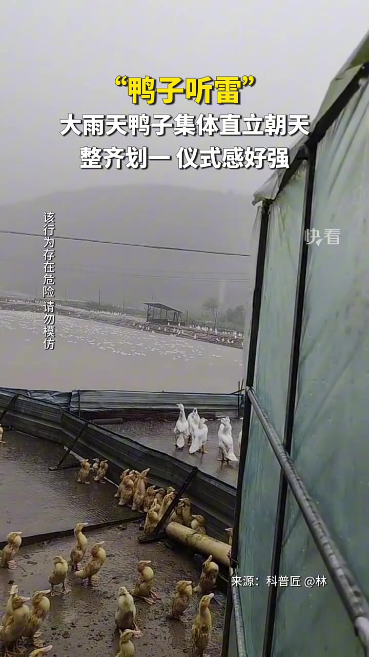 有吧友解释一下这是什么原因吗？