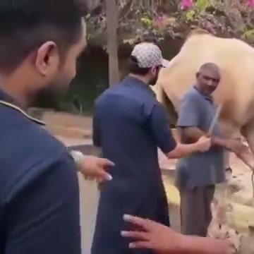 这么残忍？这一脚不残也废了吧？