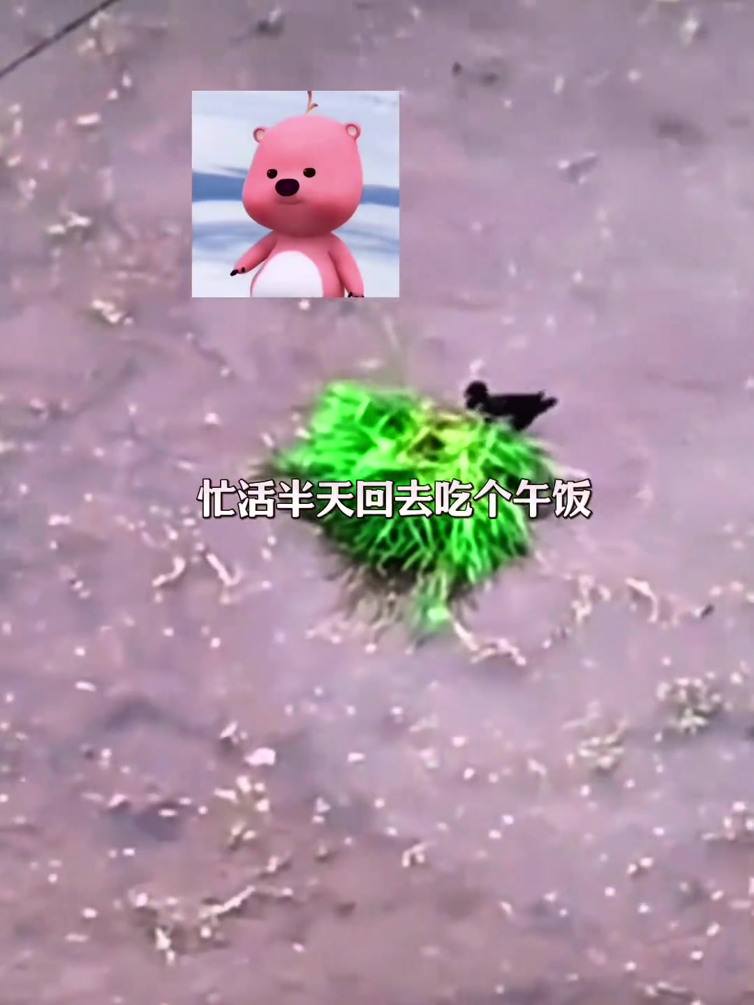 视频倒放一下，鸭子看奶奶干活辛苦，主动帮忙插秧