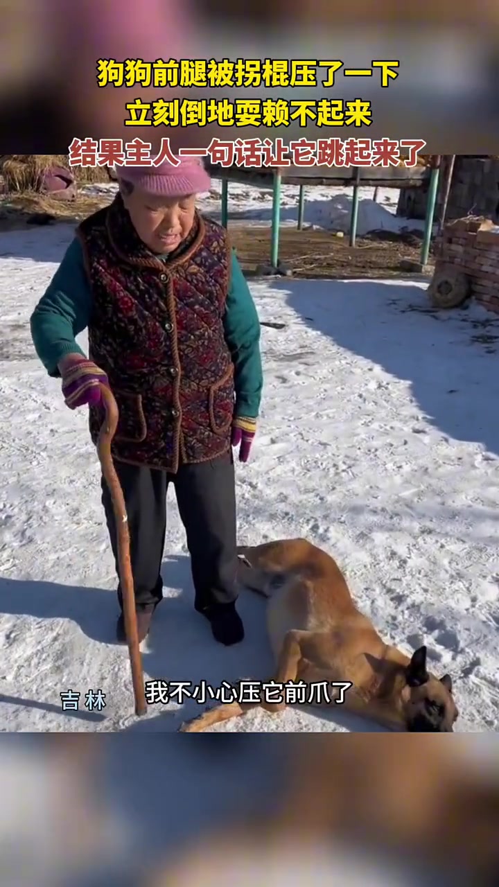 还想讹点钱呢差点把命搭里