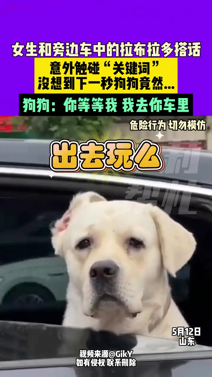狗：没错，等我，我跟你一起玩儿