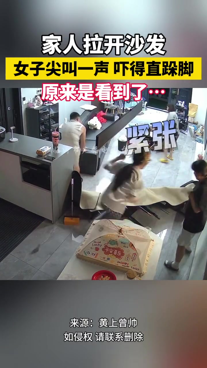 家人拉开沙发 女子尖叫一声吓得跳起 原来是看到它了