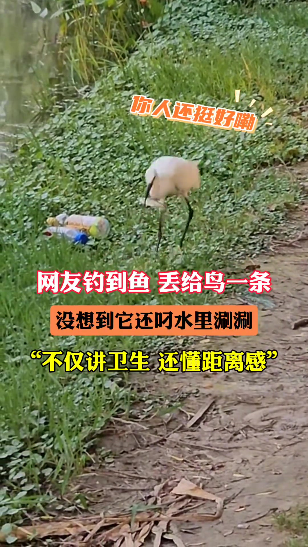 网友钓到鱼丢给鸟一条 没想到它还叼水里涮涮…