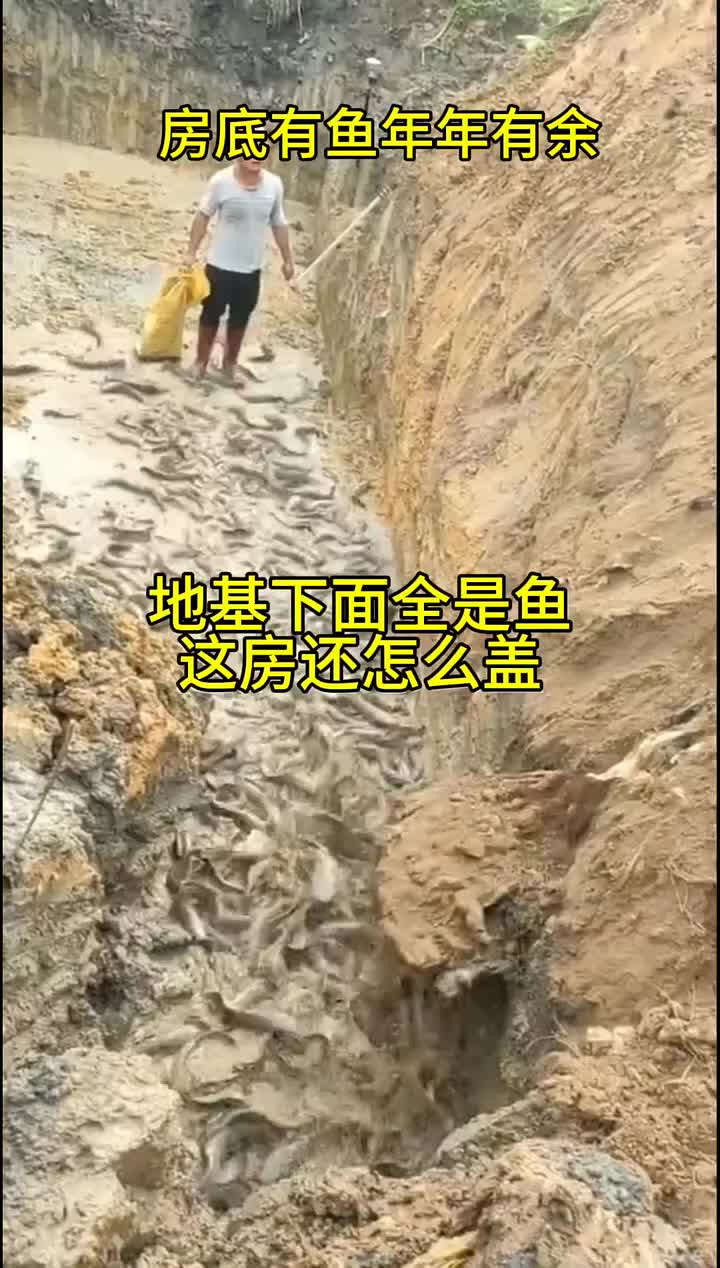 地基下面全是鱼。这房还怎么盖？？