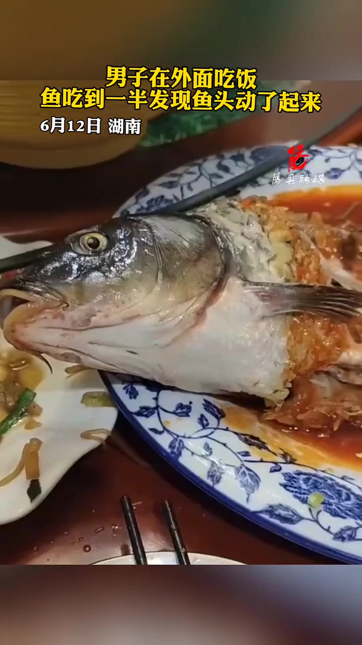 男子在外面吃饭，鱼吃到一半发现鱼头动了起来！！
