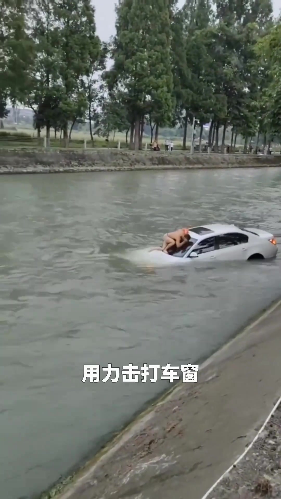 轿车落水 众人 救人