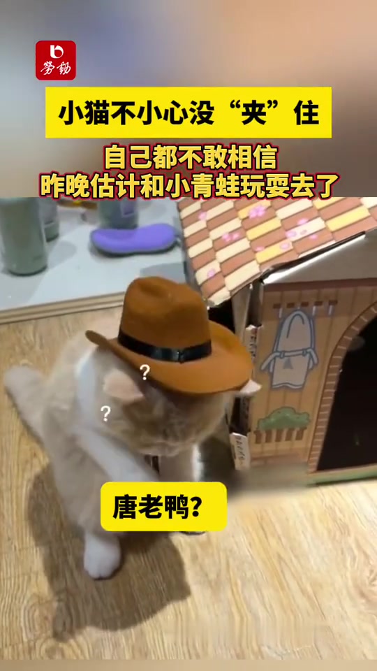 跟我比夹夹？不好意思刚刚没夹住！
