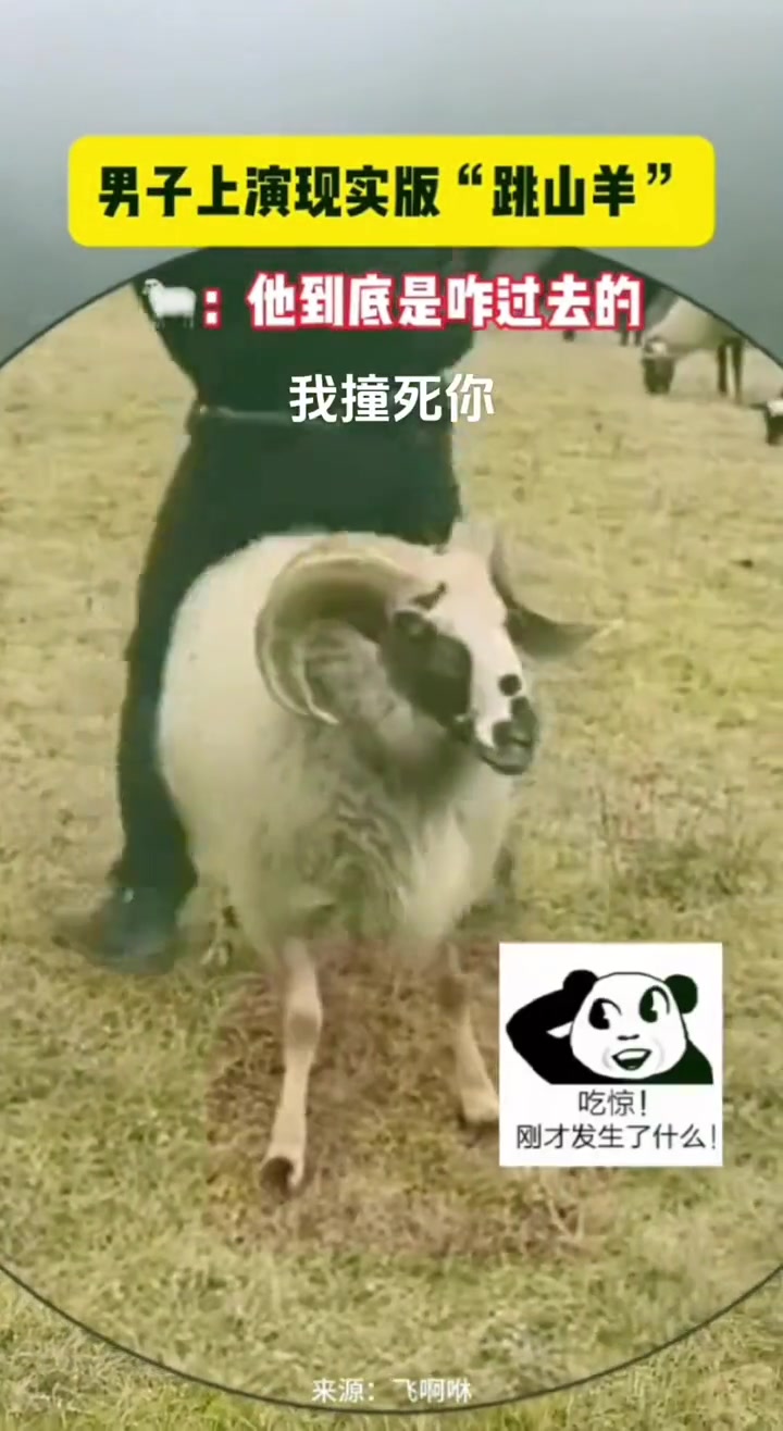 跳不过去就是另一个故事