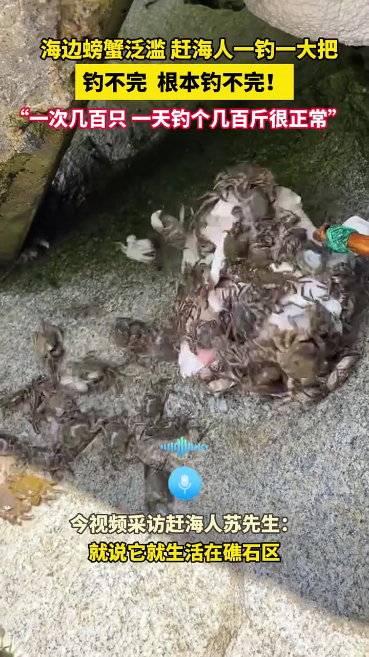 道德在哪里？素质在哪里？地址又在哪里？