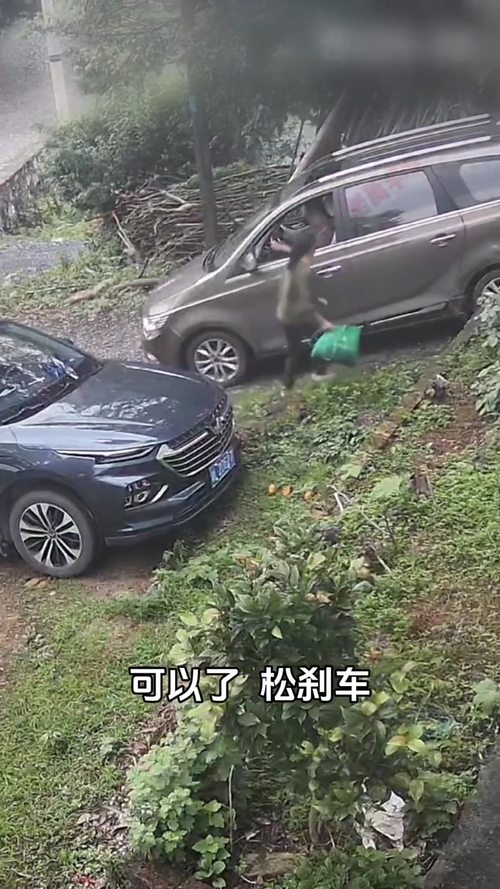 大难临头自己飞